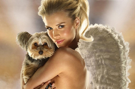 Hot and pup - pretty, cute, animals, model, hot, wings, lovely, sexy, female, dog