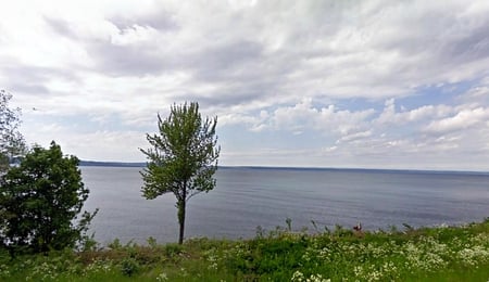 Vattern Lake - flowers, clouds, trees, sweden, water, lake, sky