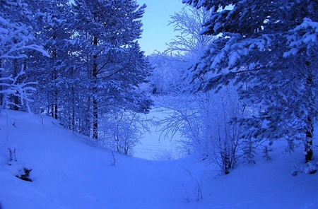 Blue nature - nature, trees, cold, snow, river, blue