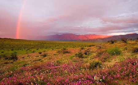 Rainbow - nature, rainbow, fields, nice, grass, sky, others