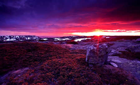 Red Color Sunset - pretty, hills, yellow, scenery, scene, snow, pink, photo, purple, red, sky, sun, clouds, sunlight, branches, beautiful, photography, beauty, stones, mounts, nature, sunset, mountains, rocks