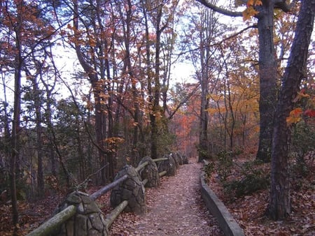 A Trail in Autumn - leaves, trees, trail, autumn