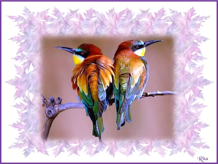 LOVERS' TIFF - pink leafy frame, tiff, branch, colourful birds