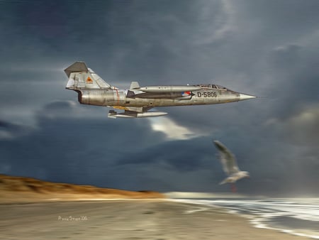 F104 Starfighter - bird, jet, lockheed, beach, ocean, starfighter, aiplane, plane, drawing, painting, seagull, classic, f104, art, antique, f-104