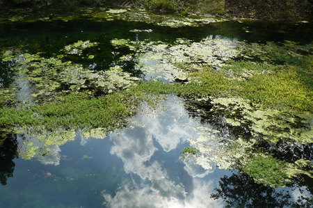 Blue Springs Reflection - nature, water, sky, blue