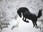 wolves-vs-unicorn