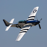 P51 Mustang - Crazy Horse