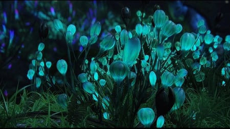 Avatar-2 - flowers, blue, green, luminesque