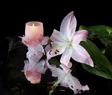 Still Life - lily, reflection, pink, candles, festive, tender, still life