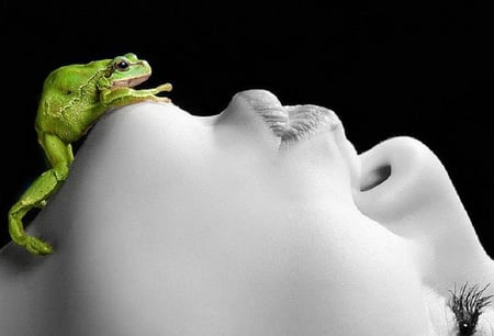 Magic kiss - nice, cute animals, adorable, faces, girl, frog, animals, funny animals, funny, lovely, kiss, cool, pretty, humor, cute