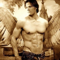 The Sexiest Angel