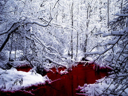 Red forest creek - bloody, trees, branches, winter, water, red, creek, forest