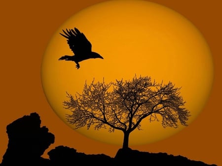 sunset bird - moon, yellow, eagle, tree, silhoutte, bird