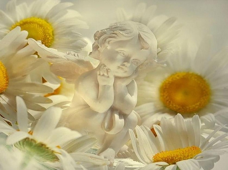 Angel among the Flowers - daisies, pretty, fresh, white, cherub, yellow, angel, petals