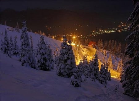 Lights to guide you Home - warm, pretty, trees, snow, hillside, village, glow, lights, cold