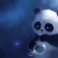 Baby Panda