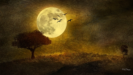 Autumns Moonlight - fall, night, sky, clouds, flight, field, full moon, birds, autumn