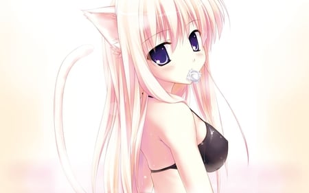 cat - girl, anime, pink, cat