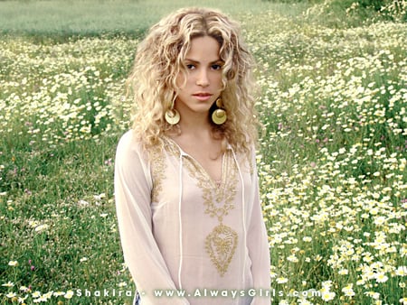 Shakira - women, music, shakira, dancer, superstar, hot, singer, entertainer