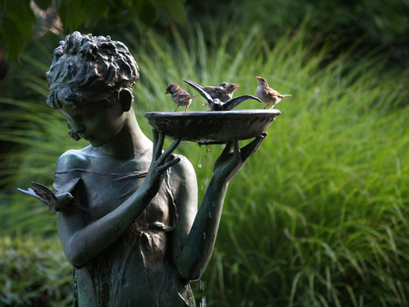 Bathing birds - beautiful, statue, feathers, girl, grass, bath, photography, hand, fingers, nature, park, birds, face, animals, greenery, water, droplets, birdbath, drops, bowl, lovely, bathing, teardrops, green