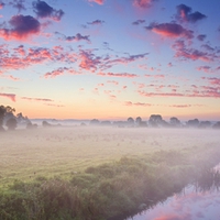 Misty Field