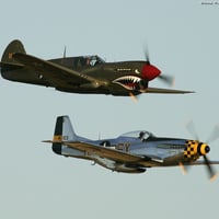 P40 Warhawk and P51 Mustang