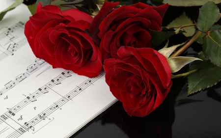 Flowers and Music - roses, flowers, music, notes