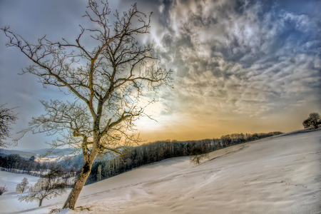 Winter landscape - beauty, sky, landscape, background, sun, image, winter, nature, picture, cold, clouds, snow, beautiful, tree, hdr