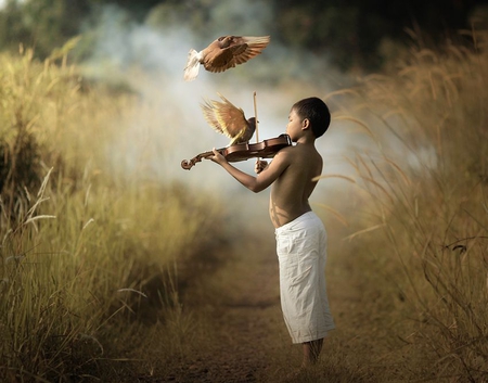 simphony to my mother - simphony, boy, music, birds, nature, violin