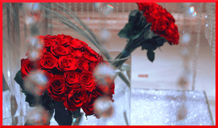 valentine_red - nature, roses, red, valentine, flowers, vase