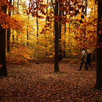 Two women in the forest