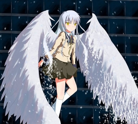 Angel - care, tenshi, beautiful, flying, angel, angel wings