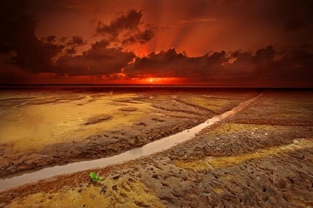 red sunset - sunset, beach, red, sun