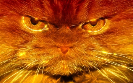 Garfield - glow, garfield, sparking, fractalius, beauty, cat, animals