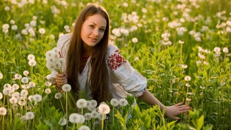 Dandelions for Frozen_Dandelion - dandelions, girl, gift, beautiful, picking, flowers, lovely