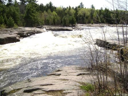 waterfall - river, white, trees, rocks