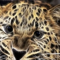 leopard art