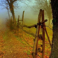 autumn door