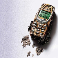 Nokia (Snake Skin)