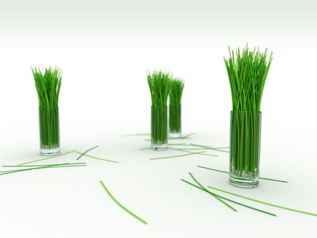 green garss - 3d, green, grass