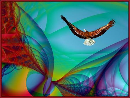 Eagle in flight - eagle, sky, abstract