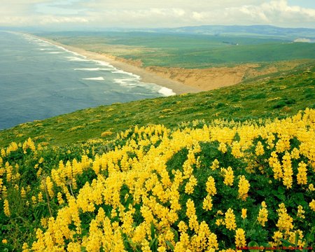 Beautifull California - beautifull, california