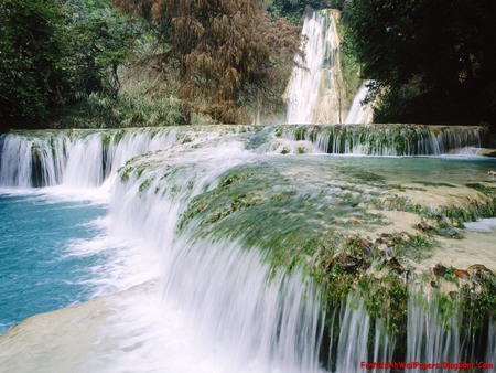 Beautiful Mexico - mexico, trees, viejas fall, water, waterfalls, wallpaper, waterfall, landscaps, nature, beautiful mexico, beautiful, waterdalls, new