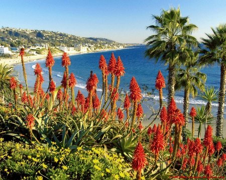 Beautifull California - beautifull, california