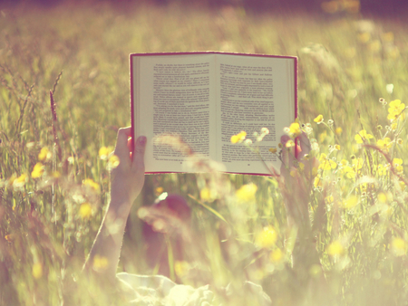 Summer and a book - nice, flower, summer, book