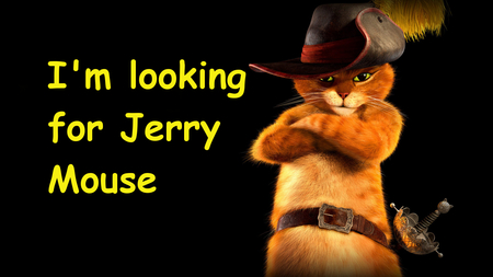 Jerry's Assassin - cat, assassin, ginger, jerry