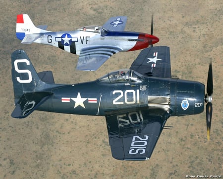 F8F Bearcat and P51 Mustang - north, ww2, american, bearcat, plane, airplane, f8f, antique, p51, world, grumman, war, wwii, p-51, classic, mustange