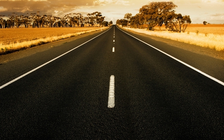 lonely beauty - nature, street, trees, travel, photography, field, highway, road