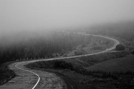 lonely travel - gloomy, rain, photography, road, gothic, black, white, nature, dark