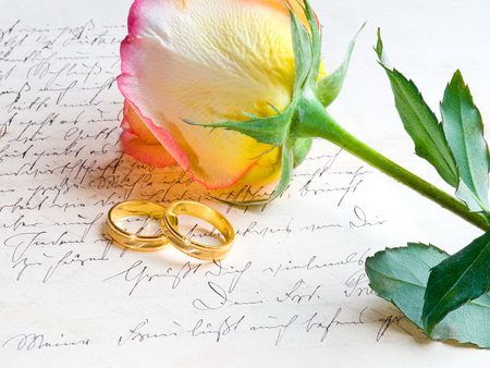 Red yellow rose - nice, wedding, rings, rose, lovely, letter, yellow, pretty, beautiful, red, flower